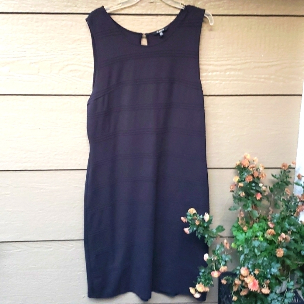 BB Dakota little black shift dress 2x